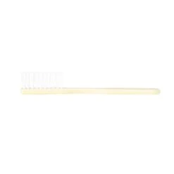 Dawn Mist TB20I 30 Tuft Ivory Handle 4" Toothbrushes (Case)